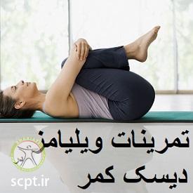http://scpt.ir/uploads/williams-exercises-low-back-pain-275.jpg